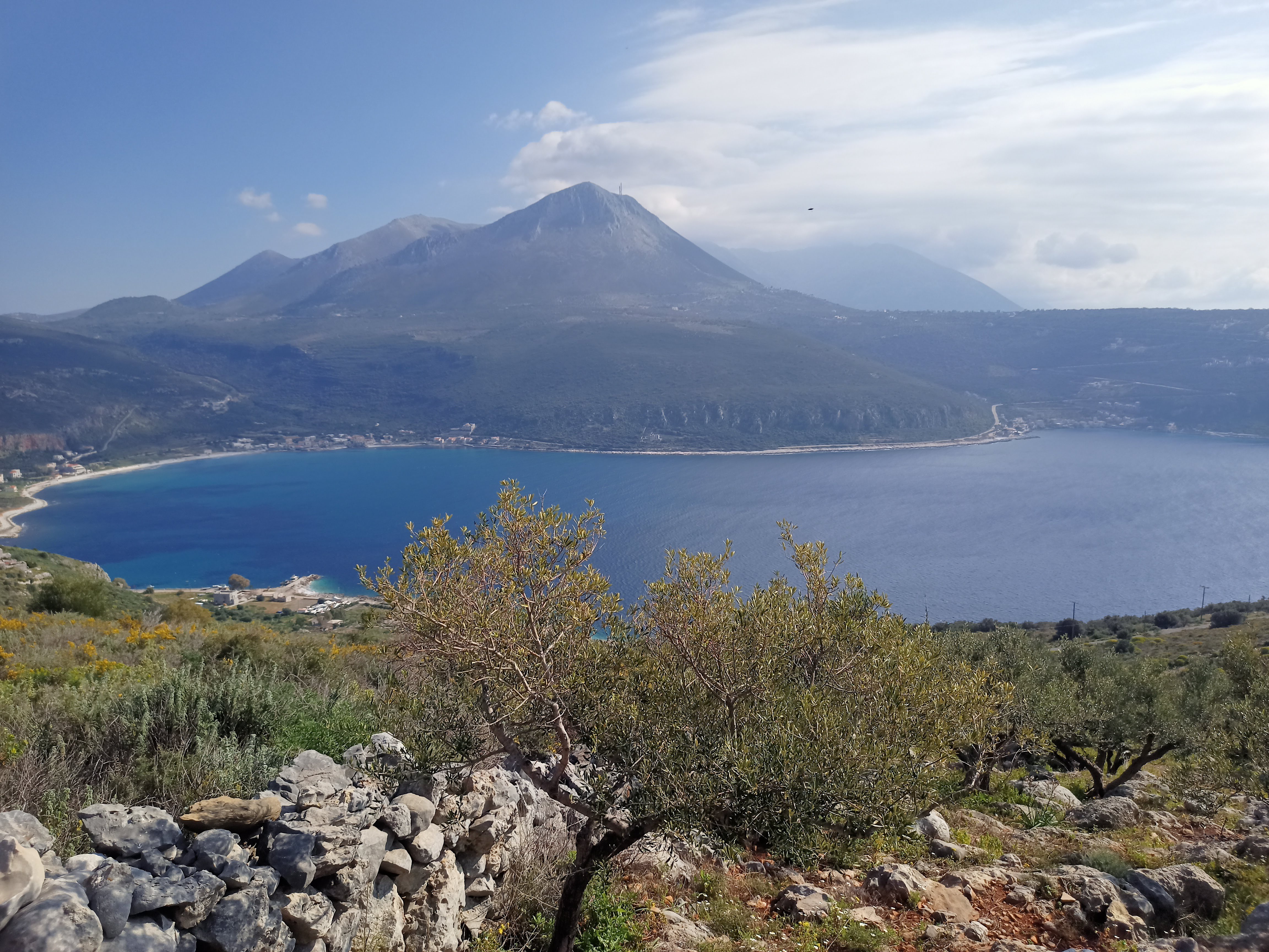 header_image